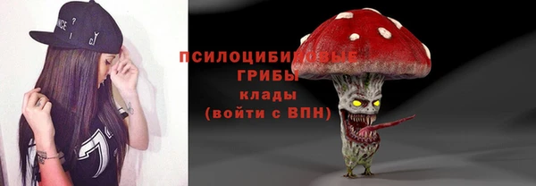 ешки Алексин