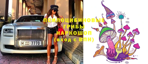 ешки Алексин