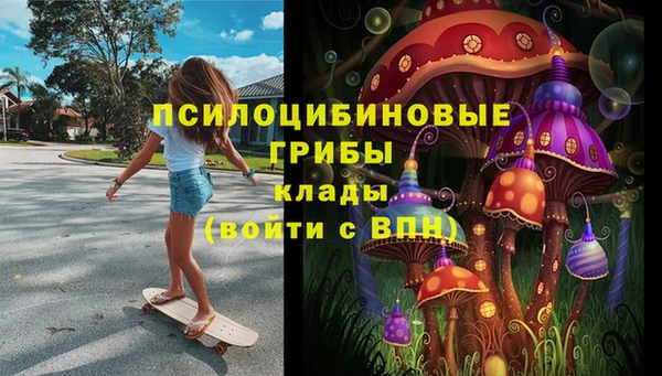 винт Алексеевка