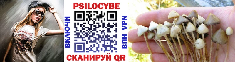 Псилоцибиновые грибы мицелий  купить наркоту  Ейск 