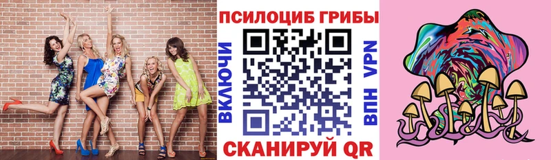 Псилоцибиновые грибы мицелий Ейск